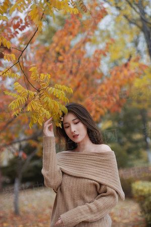华丽变身：假面灰姑娘