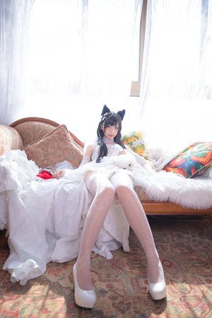 去二次元拯救世界