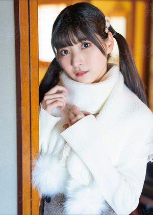 侠探高飞