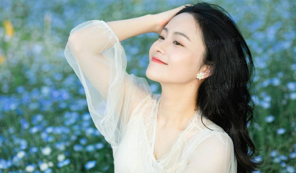 本想与你共白头【完本】