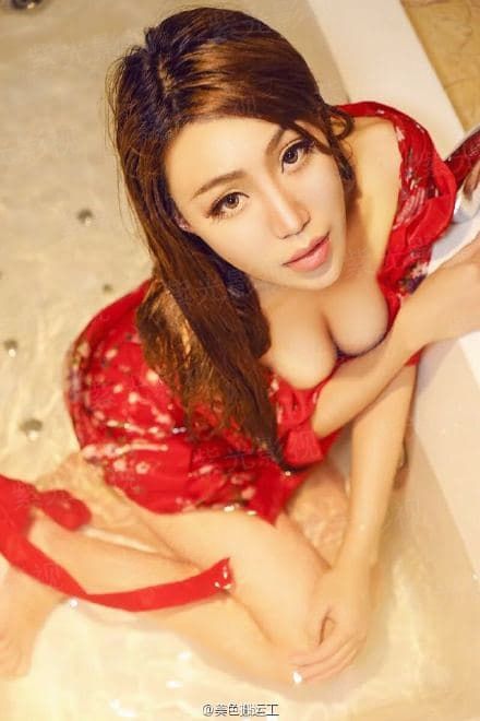 无敌从御兽开始